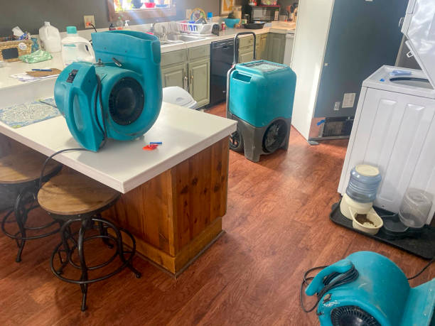 Best Commercial water damage restoration  in Atlantic Beach, NC