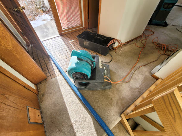 Best Flood restoration services  in Atlantic Beach, NC