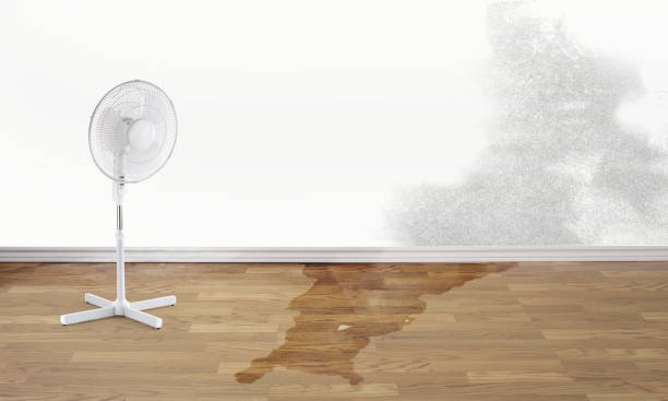 Best Ceiling water damage repair  in Atlantic Beach, NC