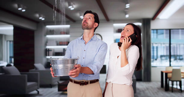 Best Carpet water damage restoration  in Atlantic Beach, NC