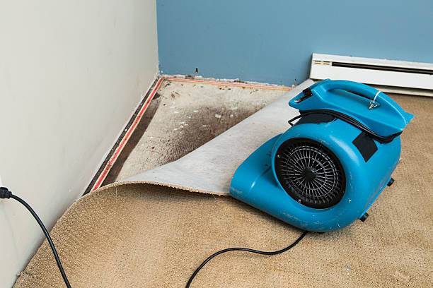 Best Basement water damage restoration  in Atlantic Beach, NC