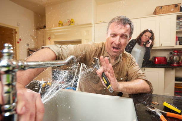 Best Professional water damage repair  in Atlantic Beach, NC